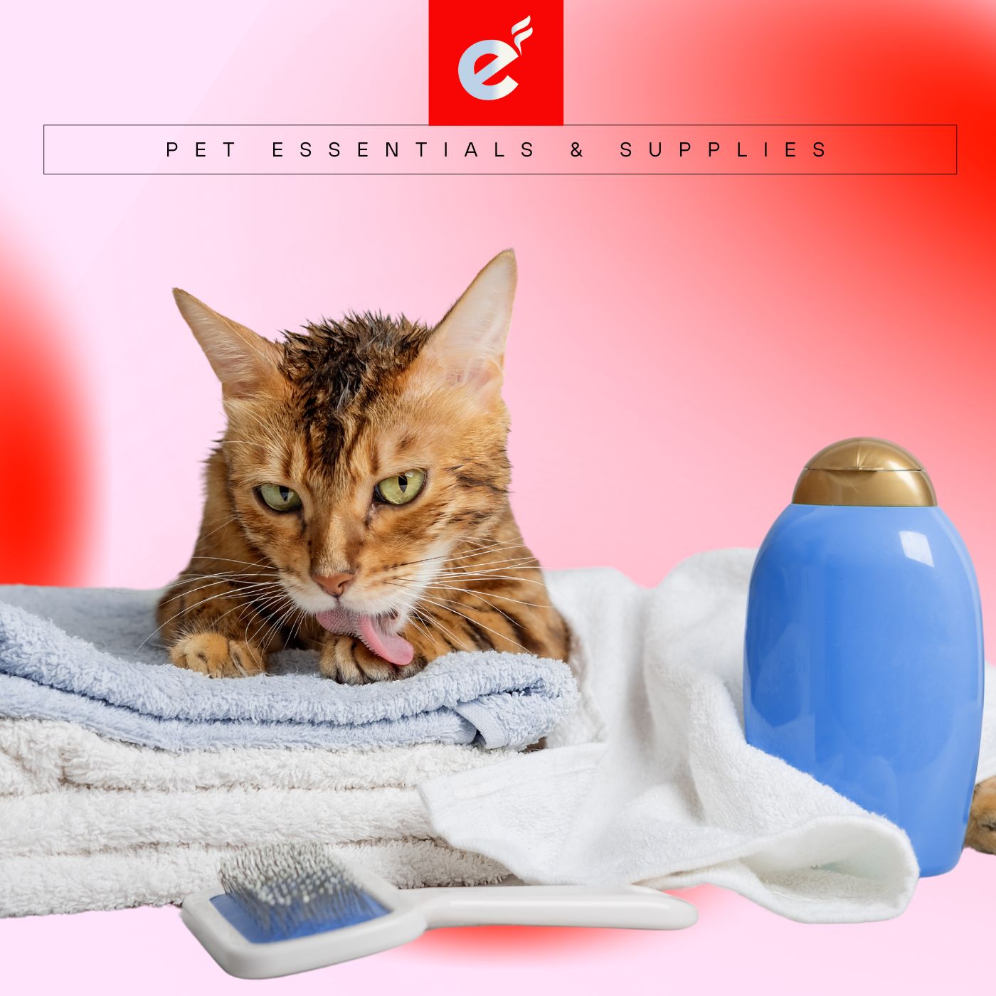 Pet Essentials & Supplies