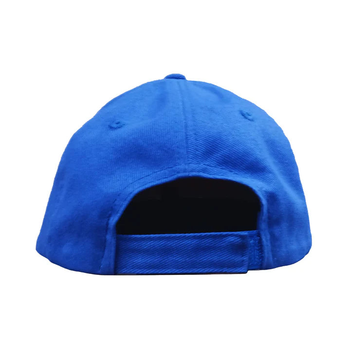 Embroidered Make Freedom Go Viral Hat